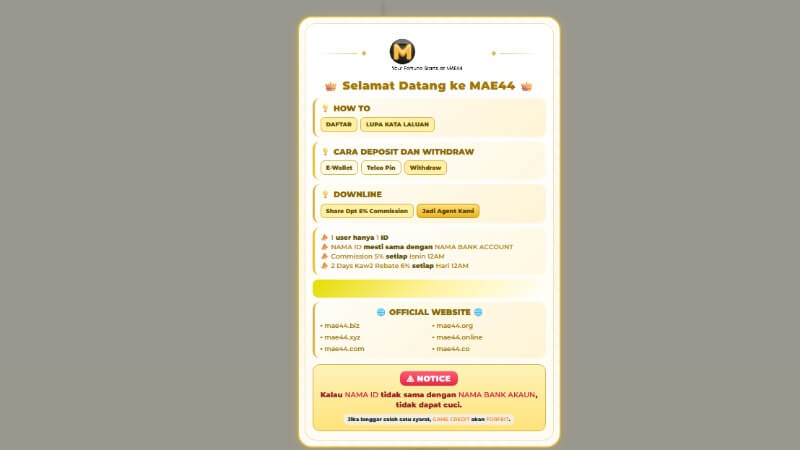 mae44 screenshot 5